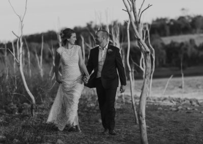 Mander & Williamson dam trees